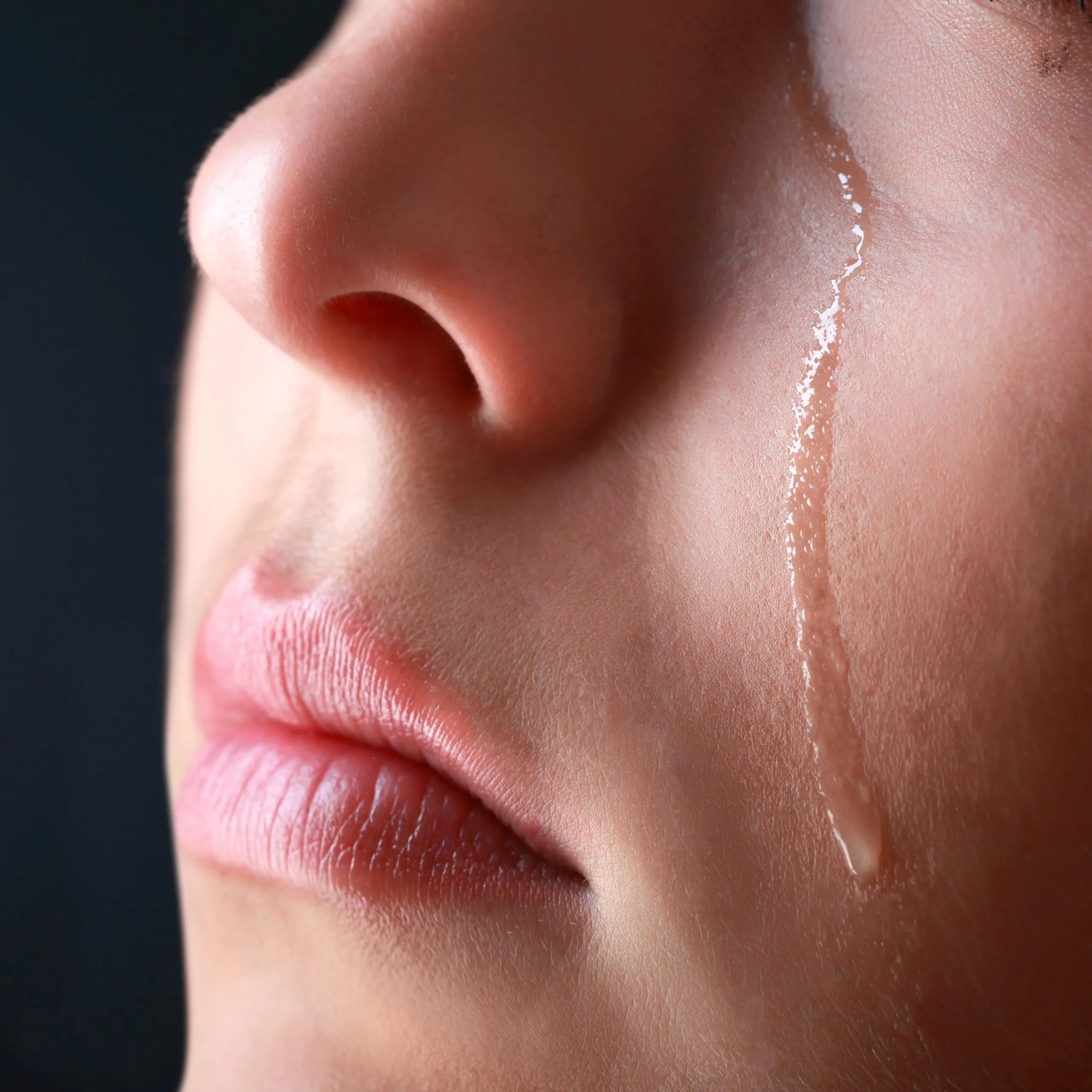 shutterstock_118936651